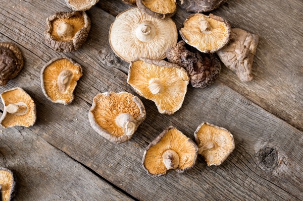 shiitake gomba